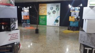 SESC AM começa agendamento de grupos para exposição 'Antropia'