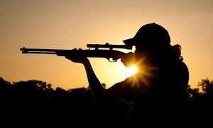 Mercado de seguro animado com cenário à vista no Amazonas